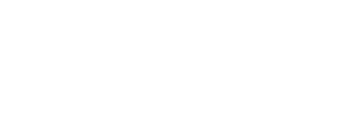 Förster Management